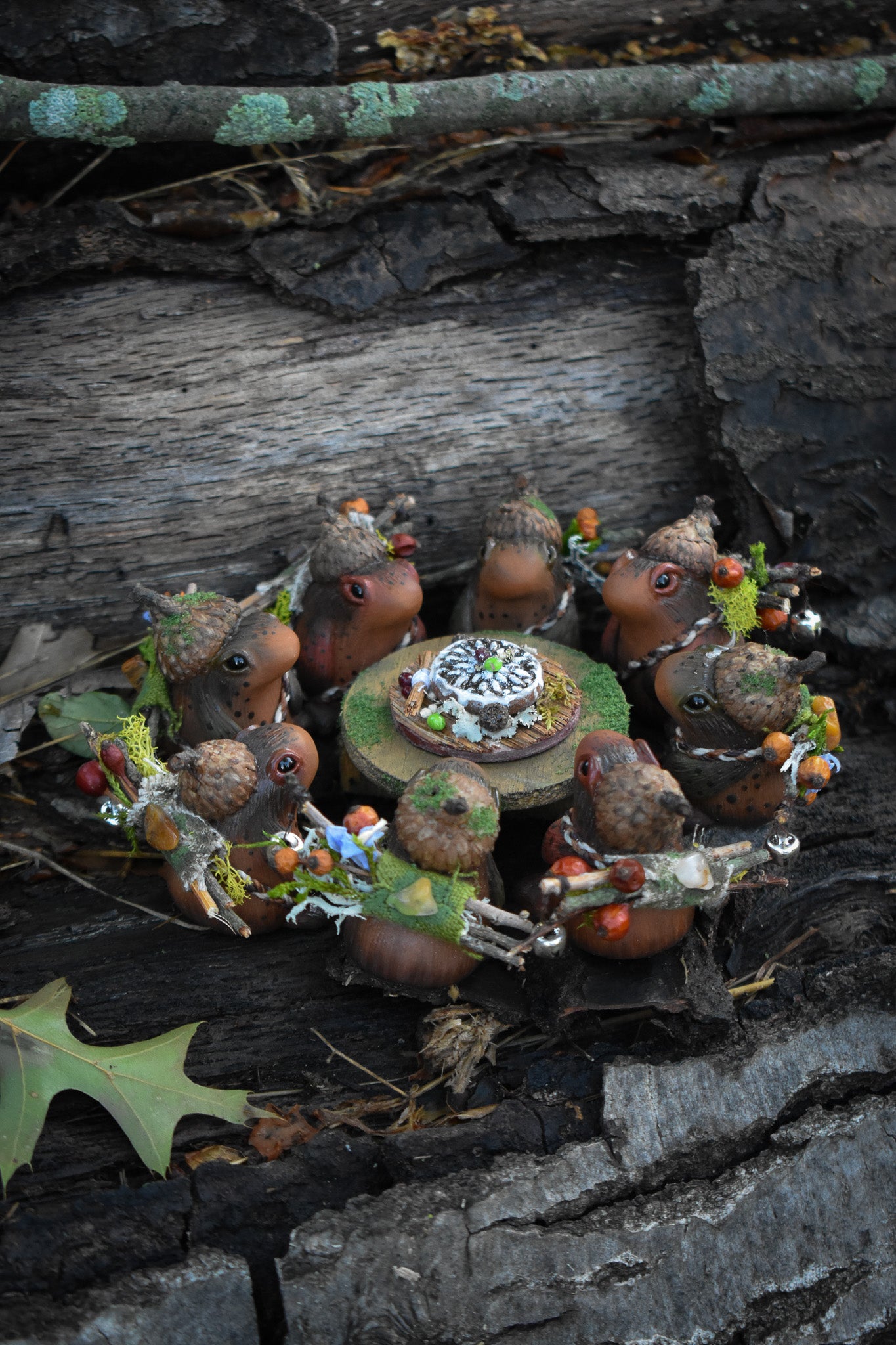 Woodkin- Summer Edition