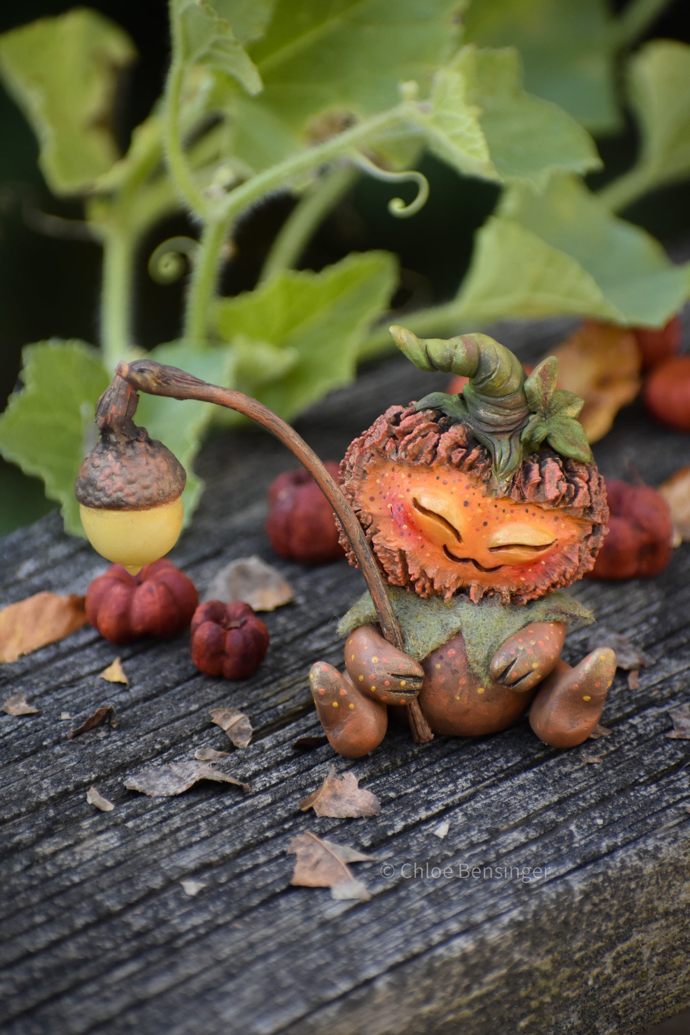 Pun-Kin "Little Jack"