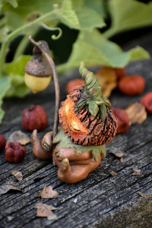 Pun-Kin "Little Jack"