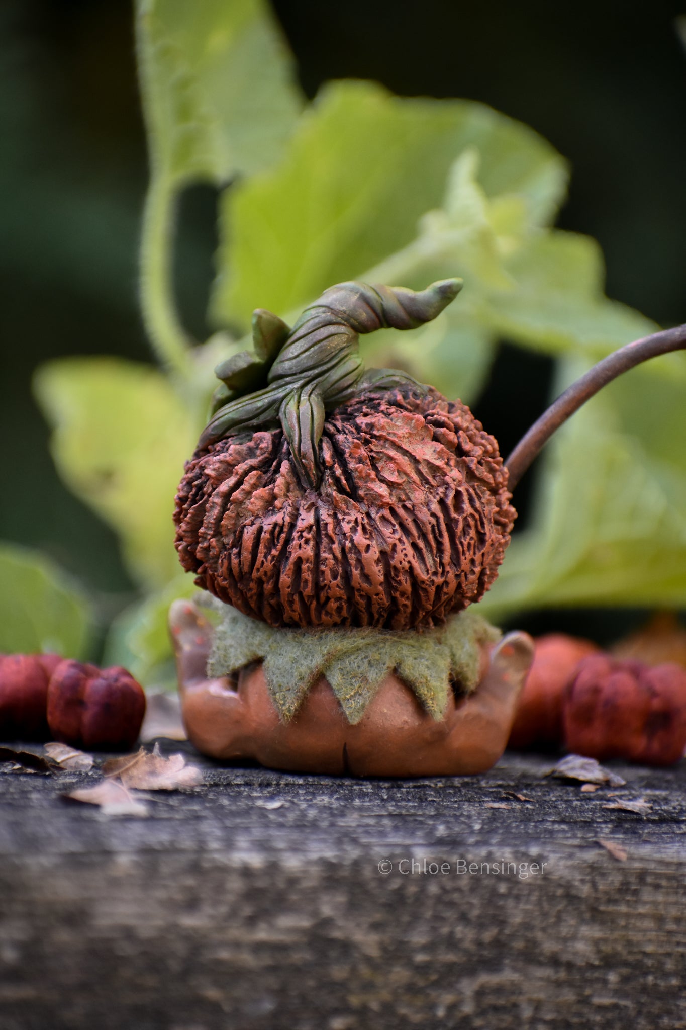 Pun-Kin "Little Jack"