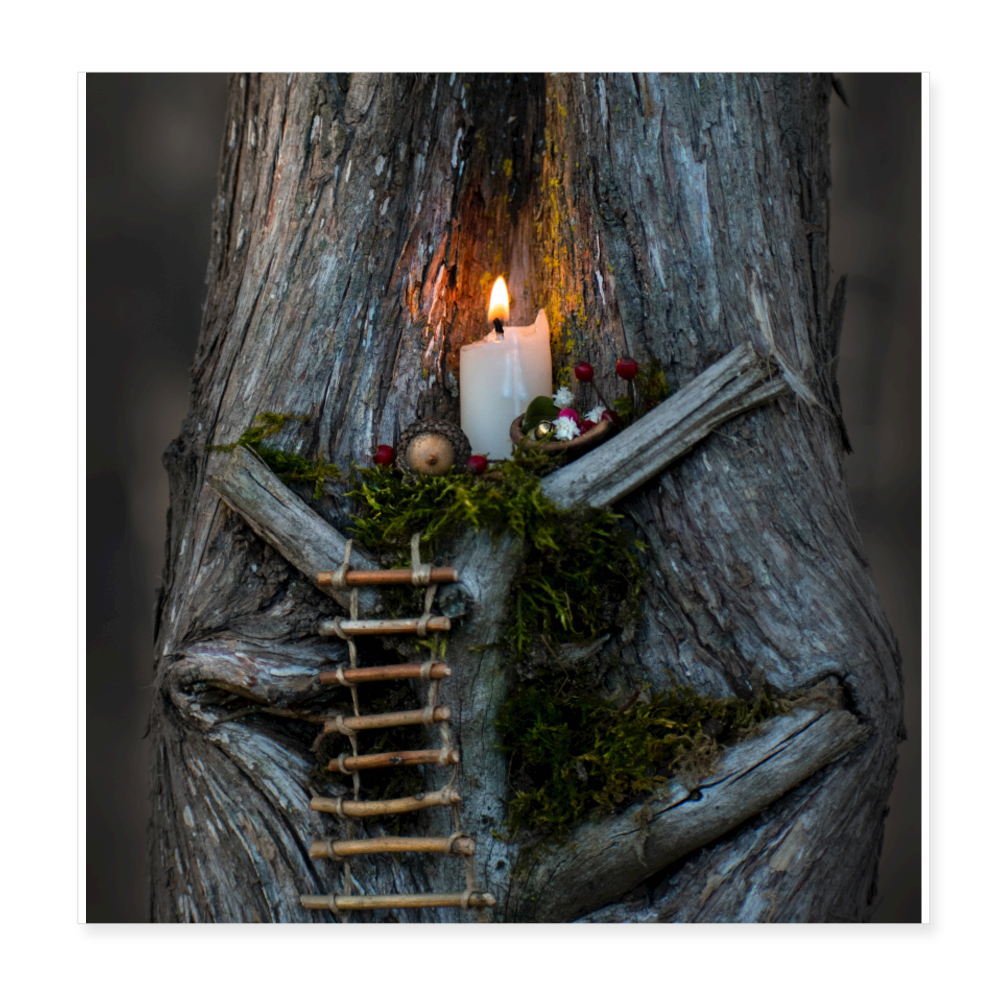 The Fairy Tree - white