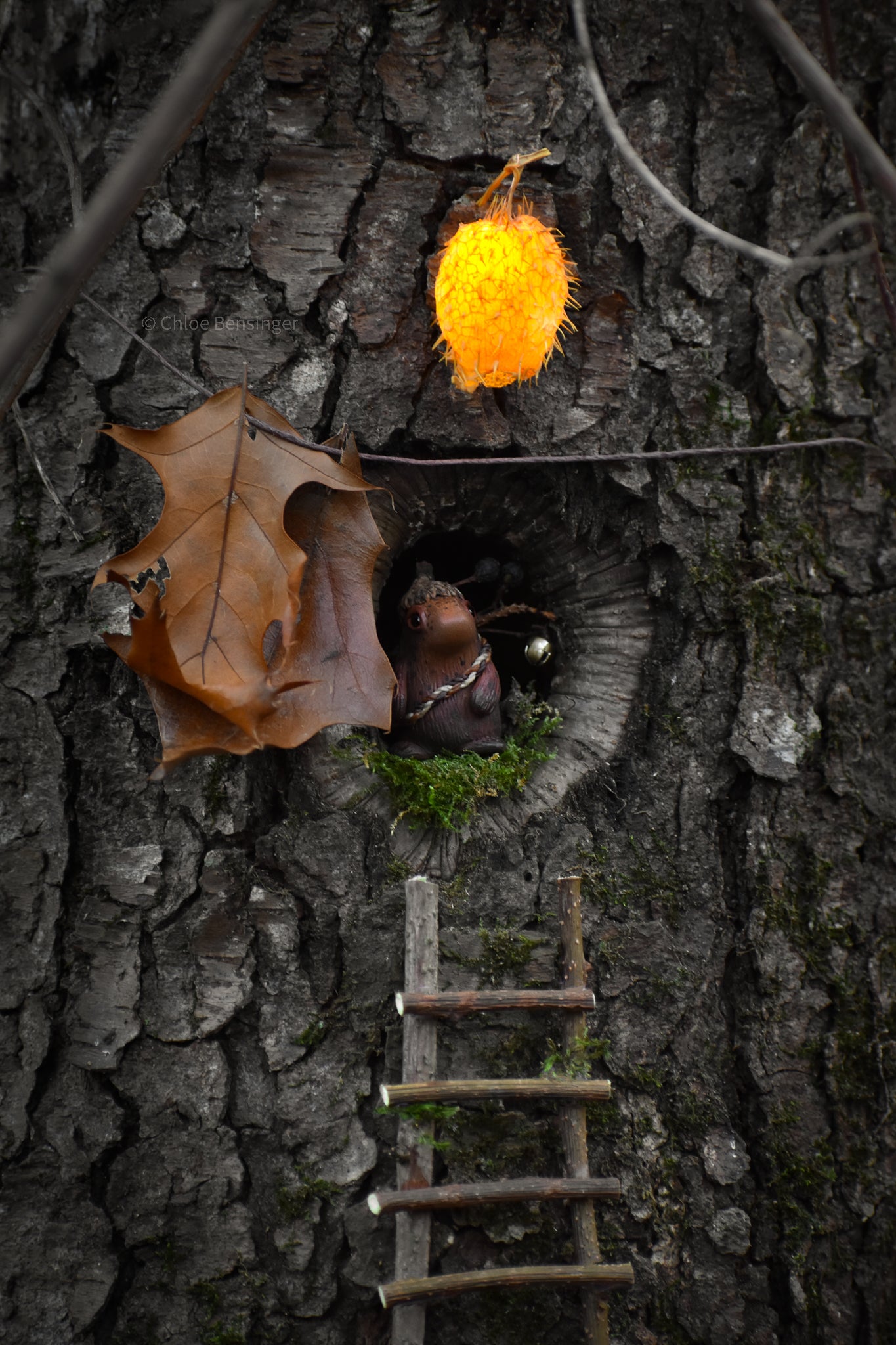 Woodkin- Traditional