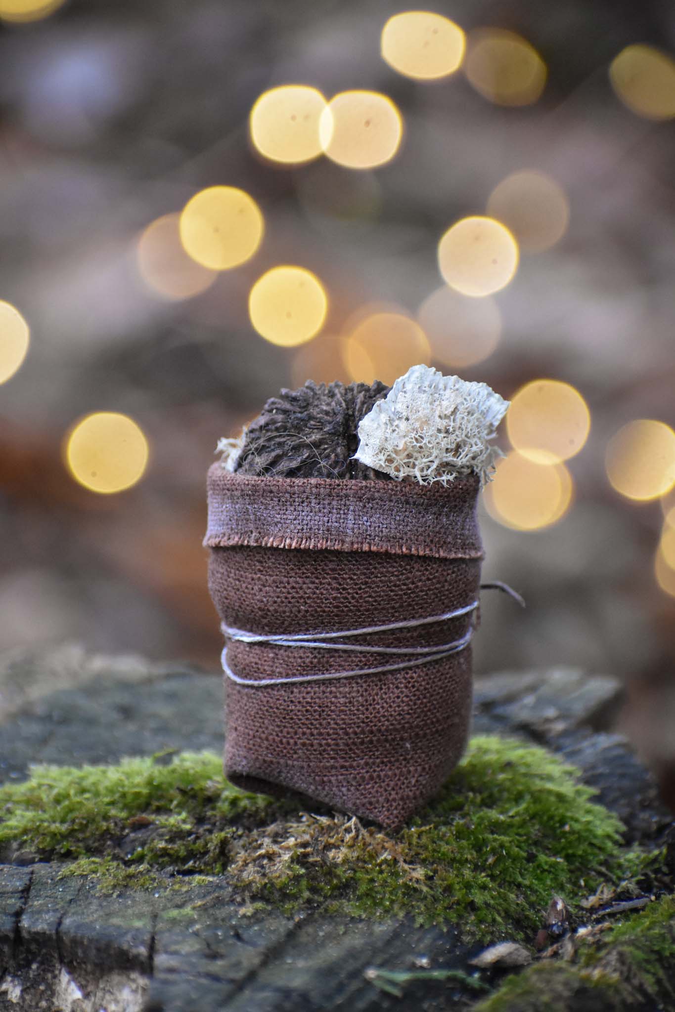 Calypso - Baby Walnut Sprite