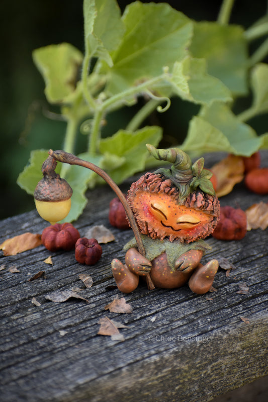 Pun-Kin "Little Jack"