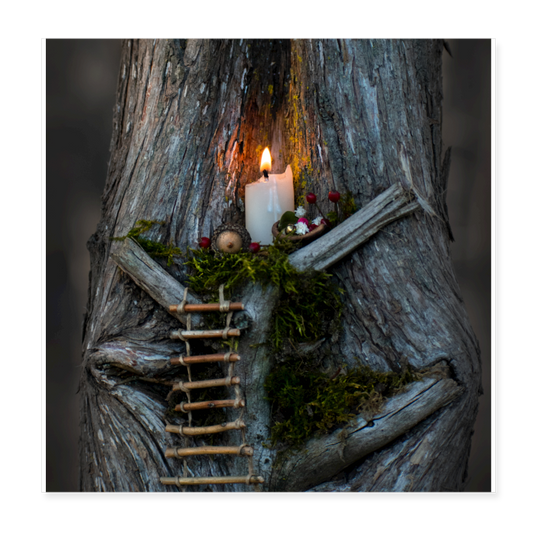 The Fairy Tree - white