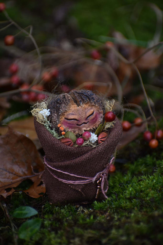 Persephone- Baby Walnut Sprite