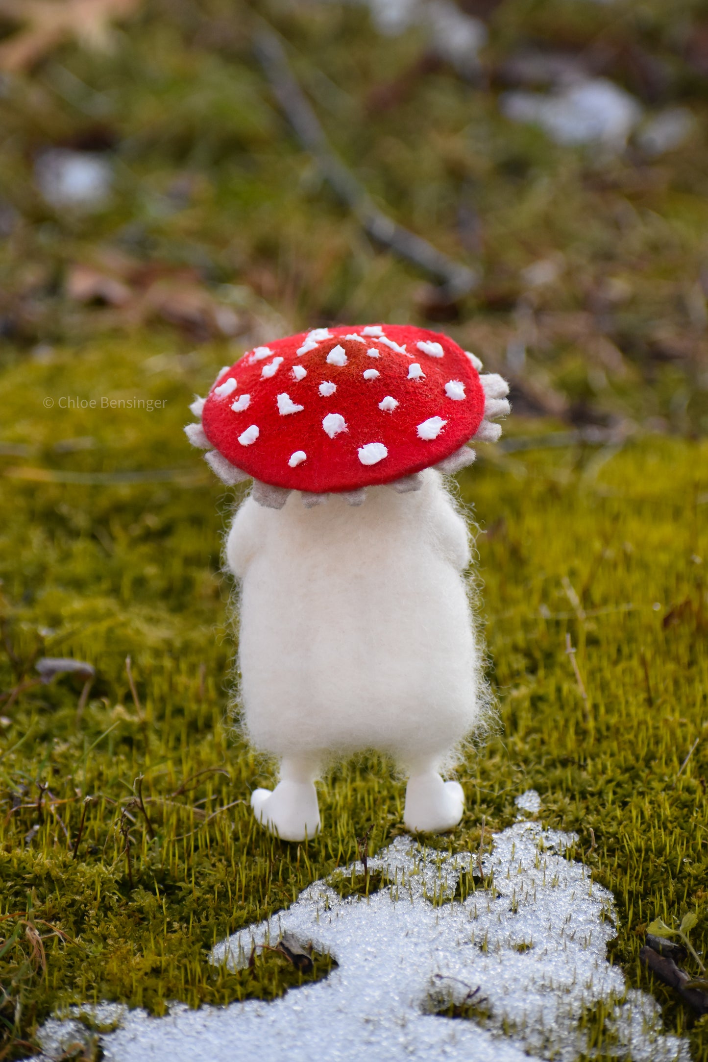 Kindred Spirit- Mushroom