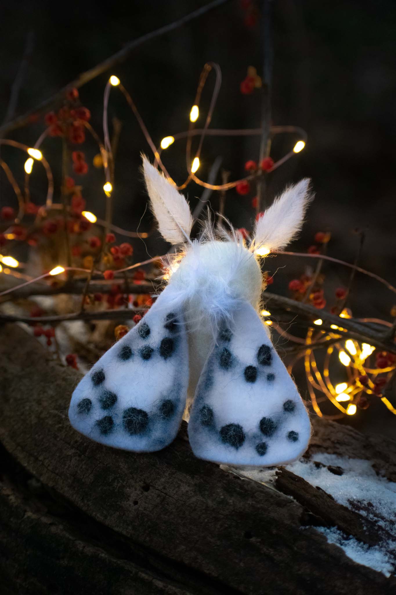 Spotted Snow Moth