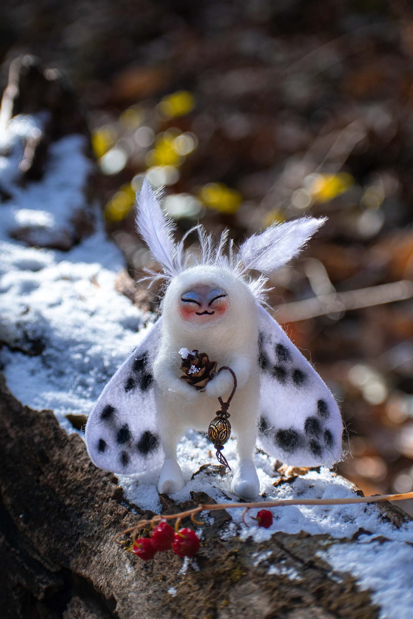 Spotted Snow Moth