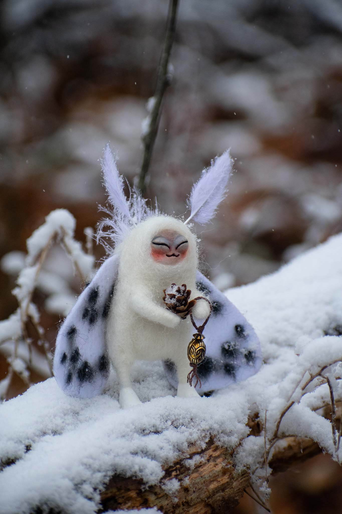 Spotted Snow Moth