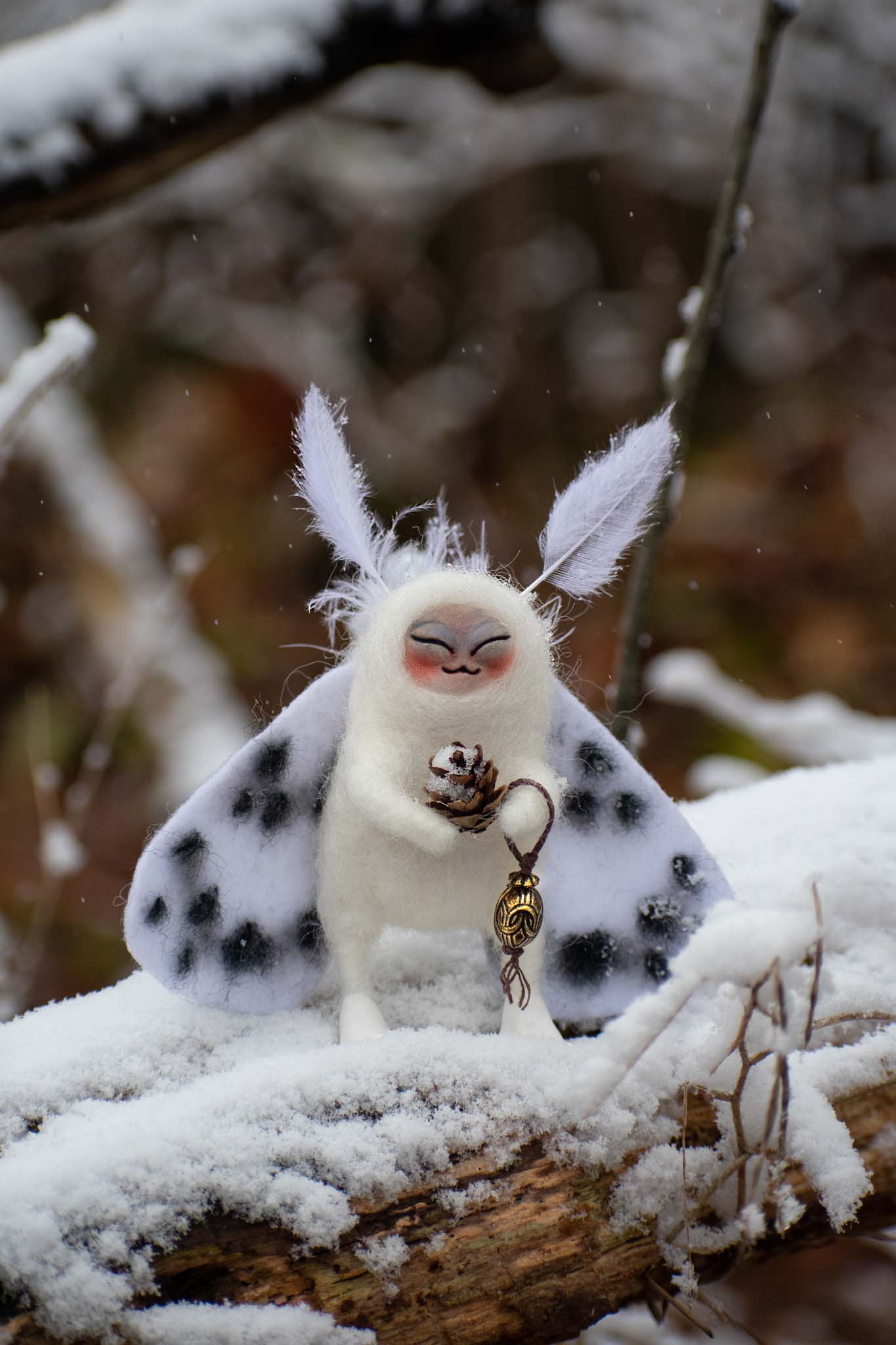 Spotted Snow Moth